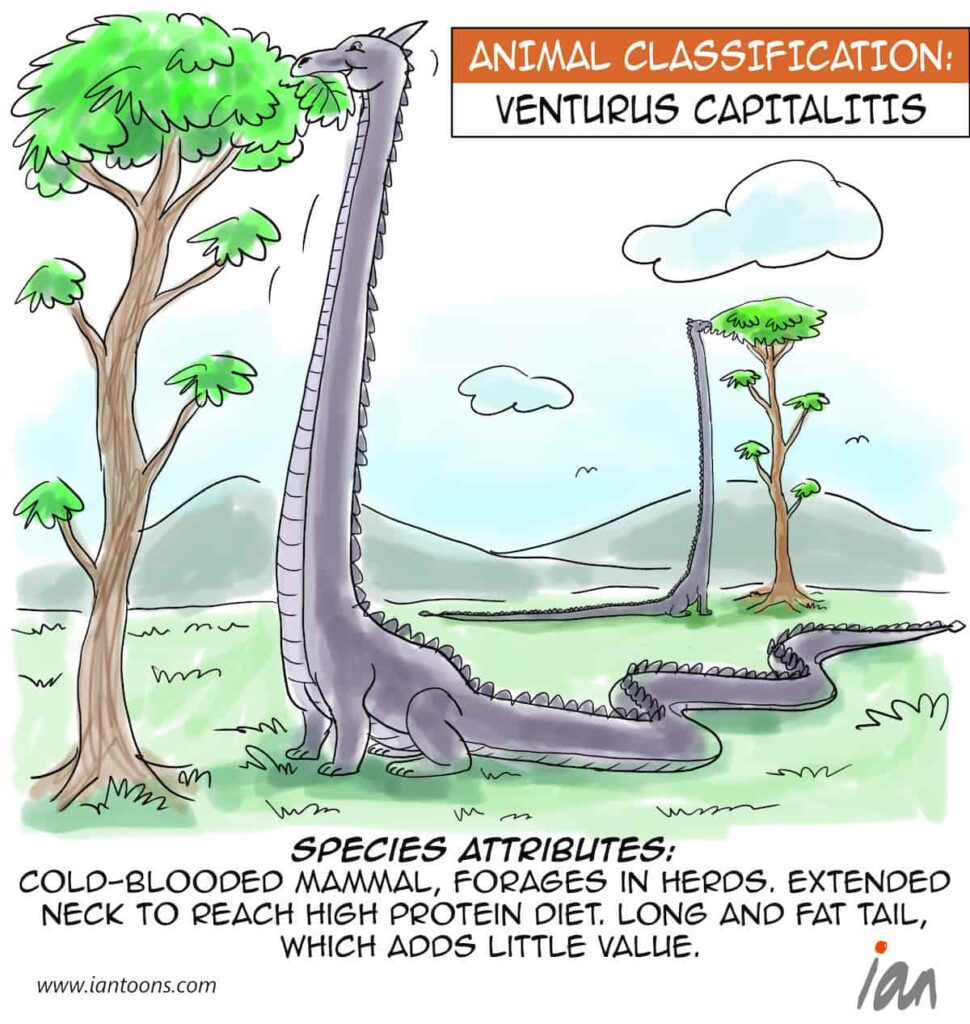 Venturus-Capitalitis-iantoons