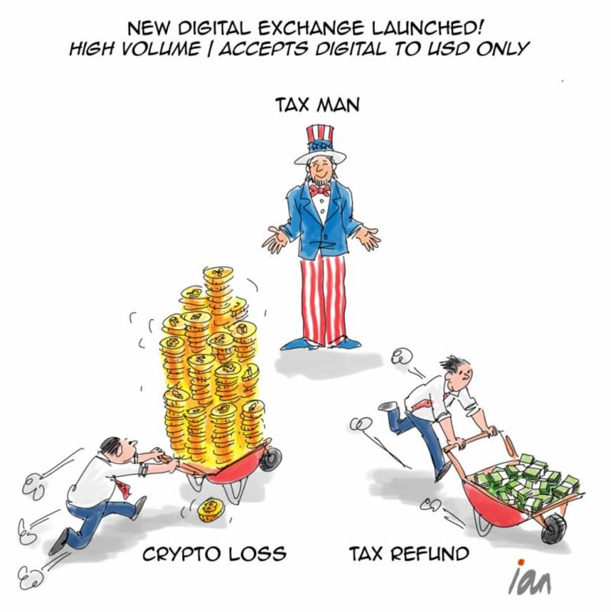 crypto-losses-iantoons