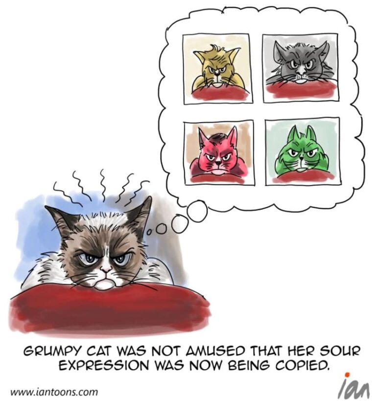 grumpy-cat-iantoons